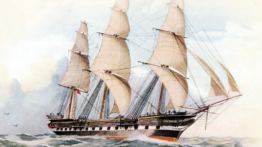 Крузенштерн рисунок Крузенштерн рисунок