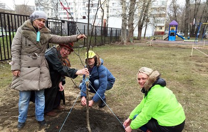 В Москве стартовала масштабная акция по озеленению улиц