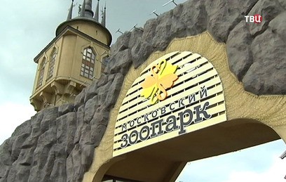 В Московском зоопарке родился снежный козлёнок