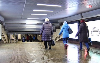 В Госдуме призвали строить подземные переходы вдоль федеральных трасс
