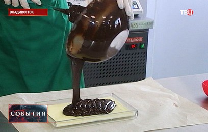 Приморские ученые создали шоколад с добавками из морских звезд и ежей