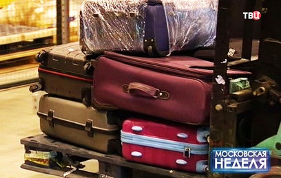 Во Внуково разоблачена банда воров вещей авиапассажиров