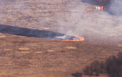 Пожарные ликвидировали в Подмосковье 4 очага возгораний