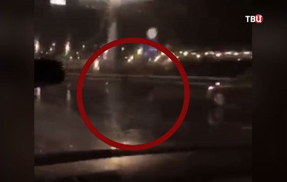 Осел на МКАД позабавил москвичей. ВИДЕО