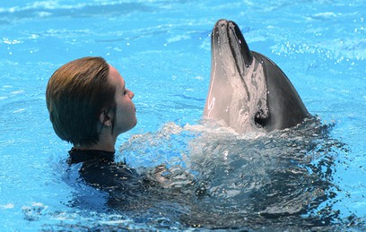 Ученые: Дельфины общаются между собой как люди