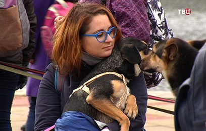 "Хочу домой": в Вешняках прошел фестиваль бездомных животных