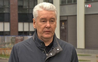 В рамках "Моей улицы" в Москве посадят тысячи деревьев и кустарников