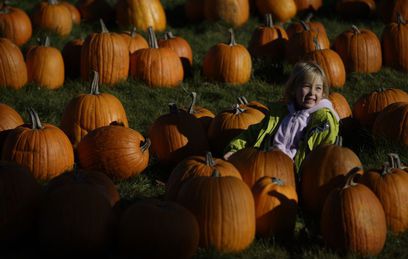 В Госдуме призвали запретить празднование Хэллоуина в детсадах