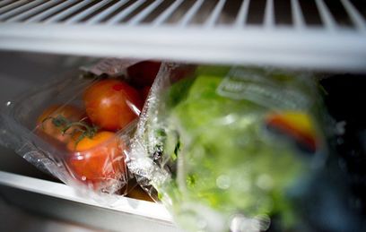 Ученые нашли самое опасное место в холодильнике