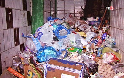 В Химках из-за долгов по зарплате дворники отказались вывозить мусор