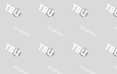 В Австралии ветеринары извлекли из питона щипцы для барбекю