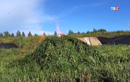 Смотреть тв 5 канала украина новости сегодня
