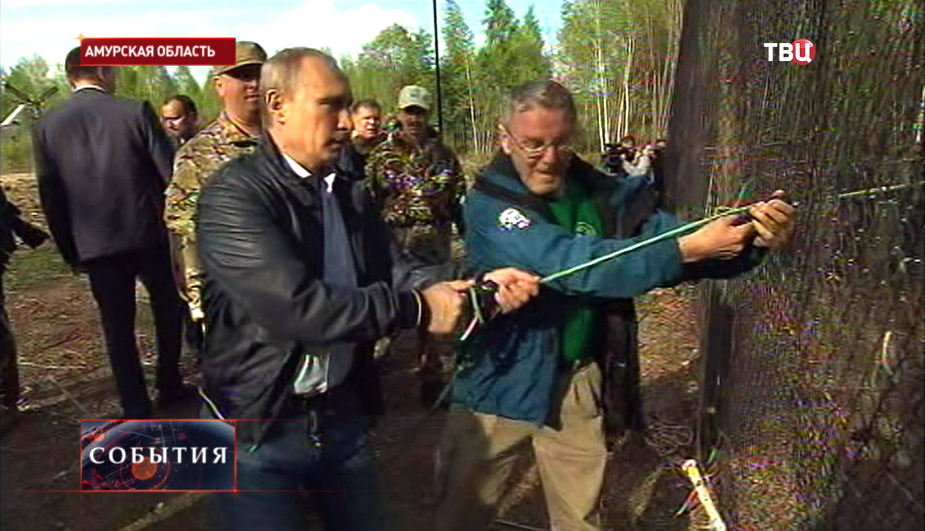 Владимир Путин в заказнике "Желудинский" участвует в освобождении трех спасённых амурских тигров Владимир Путин в заказнике "Желудинский" участвует в освобождении трех спасённых амурских тигров