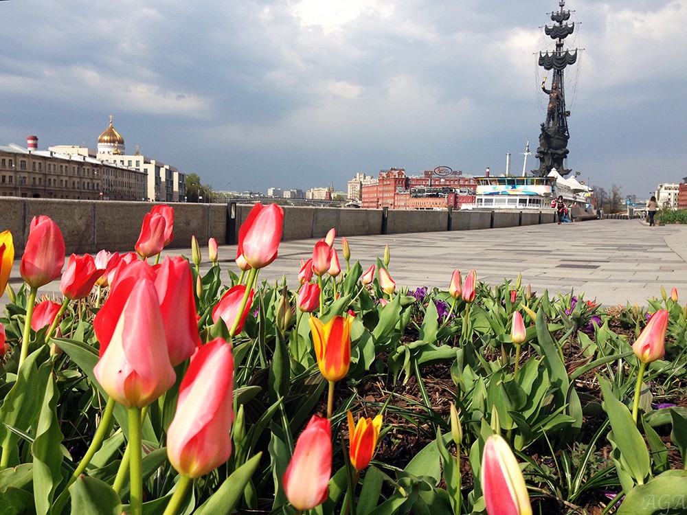 Тёплая погода в Москве