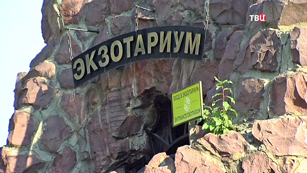 Экзотариум в Московском зоопарке Экзотариум в Московском зоопарке
