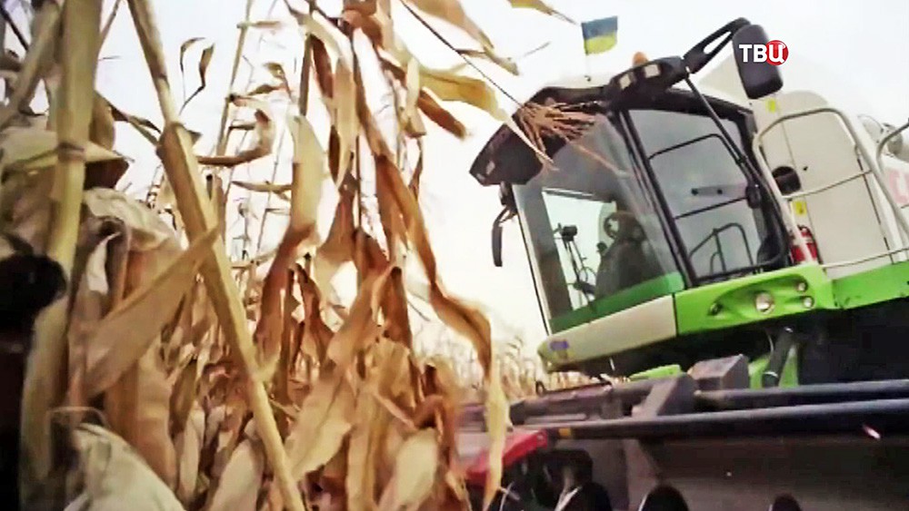 Сбор урожая на Украине