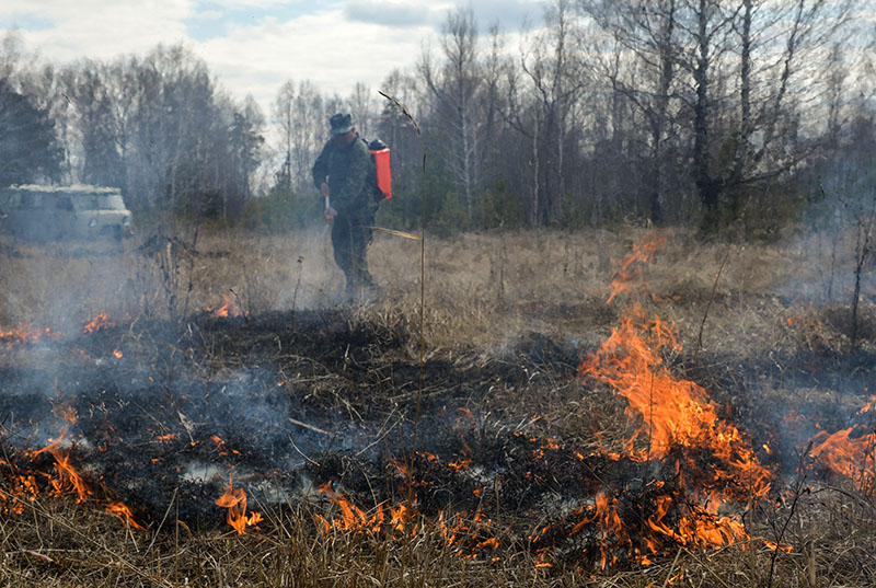 В Братском районе из-за лесных пожаров введен режим ЧС