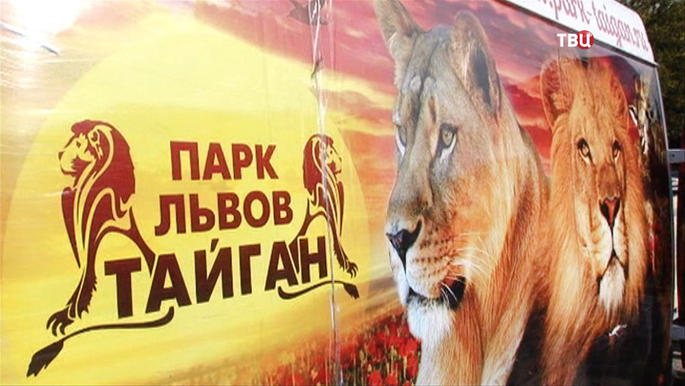 Крымский сафари-парк "Парк львов Тайган"