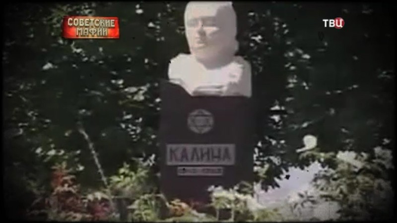 Калина Никифорова Википедия Биография Фото — Fotoxcom.ru