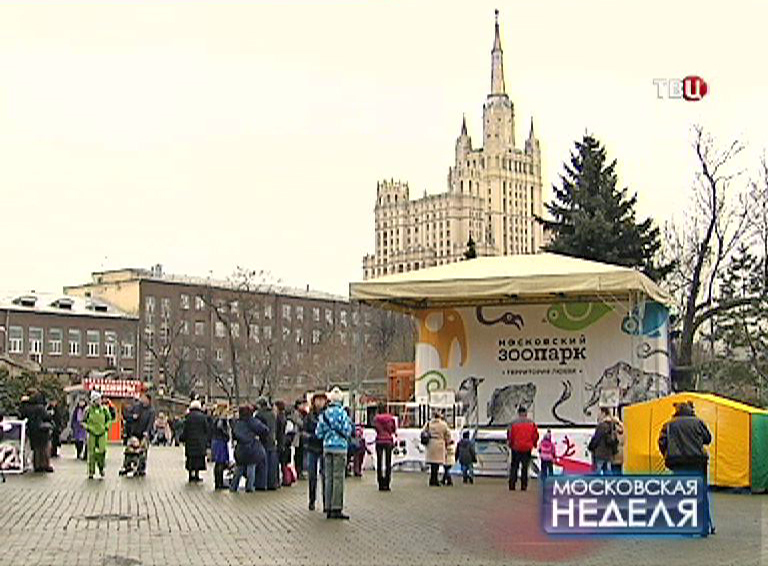 Посетители зоопарка Посетители зоопарка