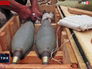 Боекомплект миномета калибра 120 мм Боекомплект миномета калибра 120 мм