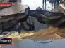 Последствия наводнения в Магадане Последствия наводнения в Магадане