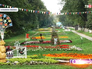 Цветники в парке "Кузьминки-Люблино" Цветники в парке "Кузьминки-Люблино"