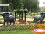 Цветники в парке "Кузьминки-Люблино" Цветники в парке "Кузьминки-Люблино"