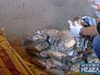 Изъятые наркотики Изъятые наркотики