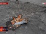 Последствия артобстрела жилых районов Донецка Последствия артобстрела жилых районов Донецка