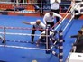 Хорватский боксёр Видо Лончар нокаутировал судью в отместку за проигрыш Хорватский боксёр Видо Лончар нокаутировал судью в отместку за проигрыш