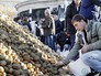 Акция протеста фермеров во Франции Акция протеста фермеров во Франции