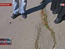 Трещины в асфальте на дороге в Крыму Трещины в асфальте на дороге в Крыму