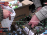 Ополченцы выдают медикаменты жителям Донбасса Ополченцы выдают медикаменты жителям Донбасса