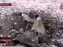 Воронка от снаряда в Донецке Воронка от снаряда в Донецке