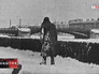 Блокада Ленинграда Блокада Ленинграда