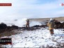 Место падения Су-24 под Волгоградом Место падения Су-24 под Волгоградом