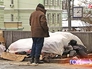 Бездомные поселились у здания Ленинской библиотеки Бездомные поселились у здания Ленинской библиотеки