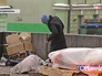 Бездомные поселились у здания Ленинской библиотеки Бездомные поселились у здания Ленинской библиотеки