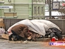 Бездомные поселились у здания Ленинской библиотеки Бездомные поселились у здания Ленинской библиотеки