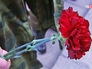 Возложение цветов Возложение цветов