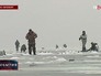 Любители зимней рыбалки Любители зимней рыбалки