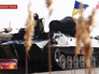 Украинские войска Украинские войска