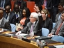 Постоянный представитель РФ в ООН Виталий Чуркин Постоянный представитель РФ в ООН Виталий Чуркин