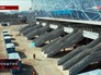 Ледовый дворец «Парк легенд» Ледовый дворец «Парк легенд»