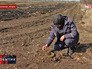 Саперы работают в Луганской области Саперы работают в Луганской области