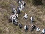 Место крушения Airbus A320 авиакомпании Germanwings во Франции Место крушения Airbus A320 авиакомпании Germanwings во Франции