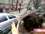 Дерево упавшее на машину в результате штормового ветра Дерево упавшее на машину в результате штормового ветра