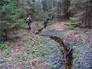 Поисковые отряды Поисковые отряды