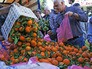 Митинг фермеров в Греции Митинг фермеров в Греции